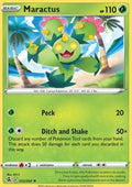 Maractus
