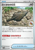 Antique Plume Fossil